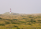 Sylt